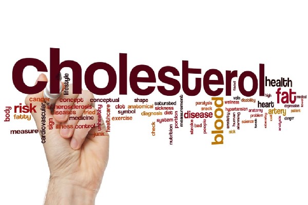 Réduisez votre cholestérol avec votre diététicienne nutritionniste à Noisy-le-Grand
